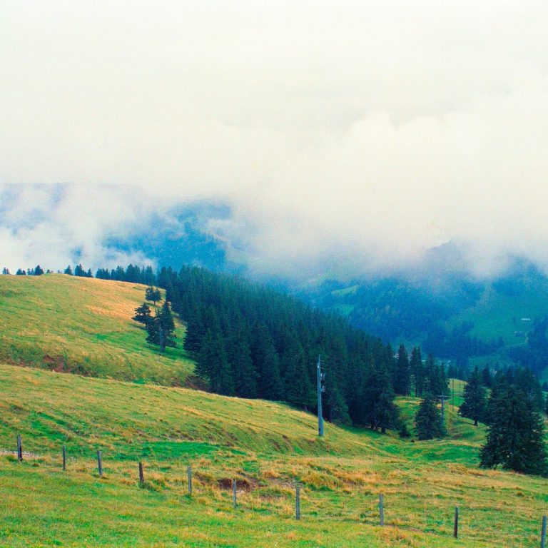 Intensivformat Paarberatung Harz|Ostsee Praxis Tanja Evers
